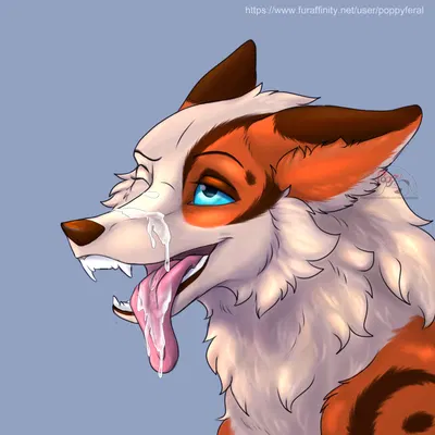 cayley created by poppy feral