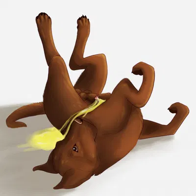 chocolatelab (character) created by killthe demon