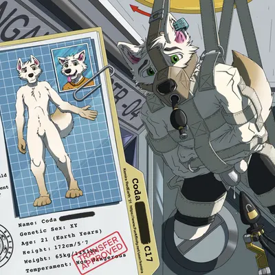 coda (pupcoda), sokal (kemira) created by kemira