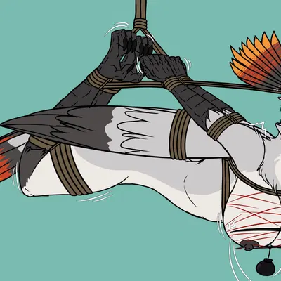 created by angry koala