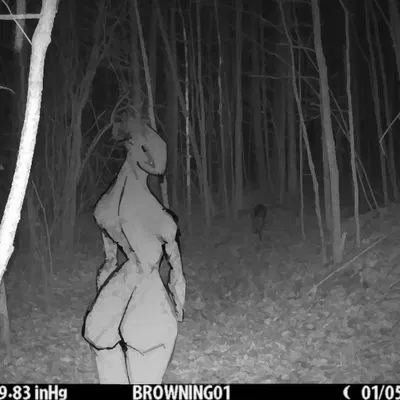 created by bamhalazam