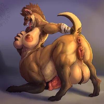 created by bulkrolly