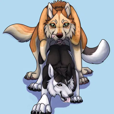 created by killthe demon