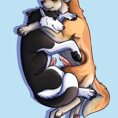 created by killthe demon