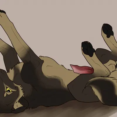 created by killthe demon