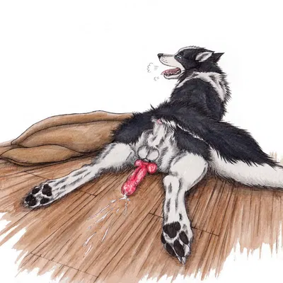 created by kola (artist)