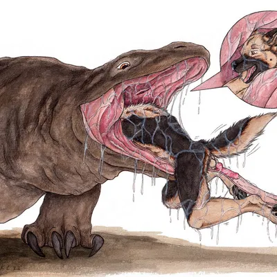 created by kola (artist)