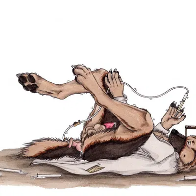 created by kola (artist)