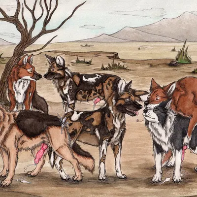 created by kola (artist)