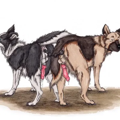 created by kola (artist)