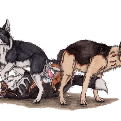 created by kola (artist)