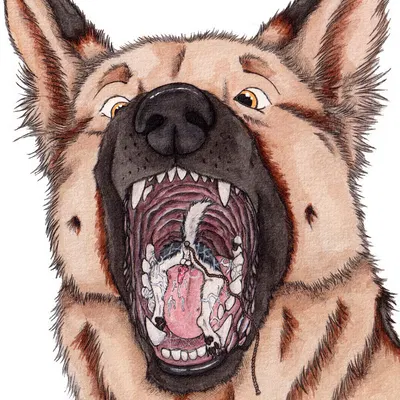 created by kola (artist)