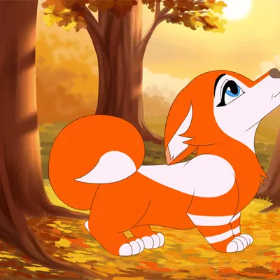 created by mohitopaw