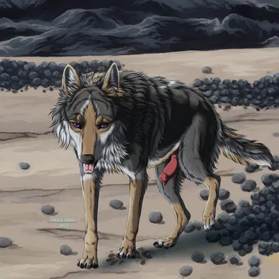 created by msdeadsoul