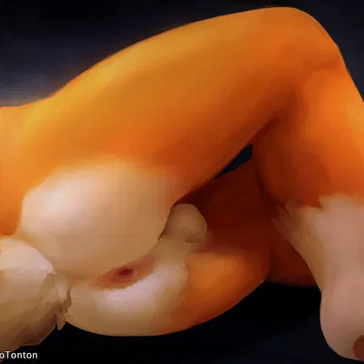 created by tito-tonton