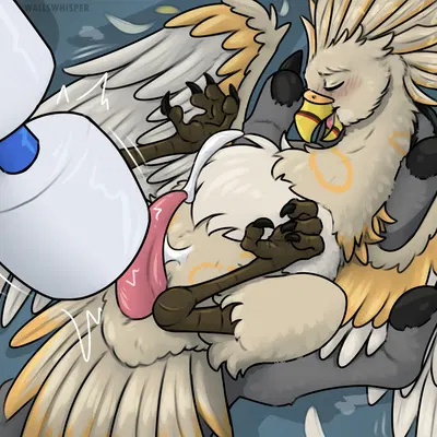 created by wallswhisper