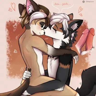 crossa, shiro koyomi created by shtein