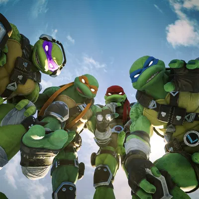 donatello (tmnt), leonardo (tmnt), michelangelo (tmnt) (teenage mutant ninja turtles) created by sticks (artist)