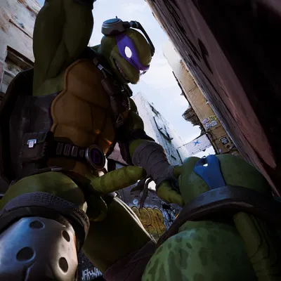 donatello (tmnt), leonardo (tmnt) (teenage mutant ninja turtles) created by sticks (artist)