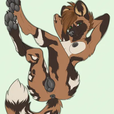 echo (madash) created by toots