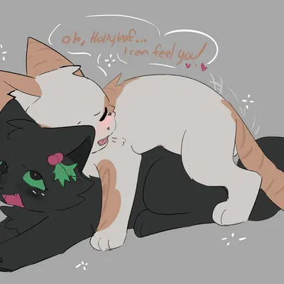 fallen leaves (warriors), hollyleaf (warriors) (warriors (book series)) created by bloowolfy