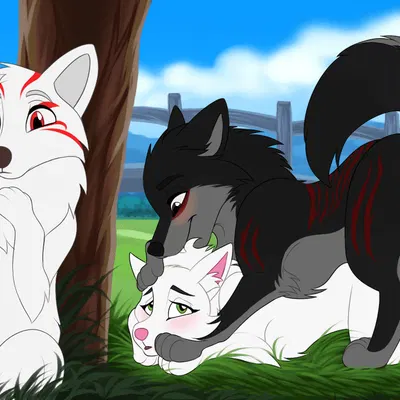 fan character, okami wolf, sitka created by mohitopaw