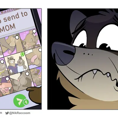 felix (nik159), nik (nik159) (telegram) created by nikraccoom