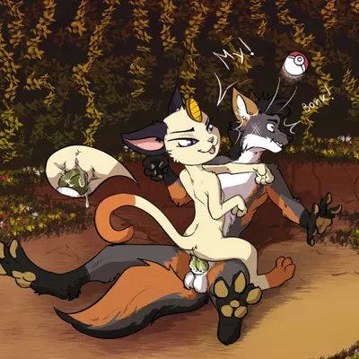 fin the fox (nintendo, pokemon) created by zafara (artist)