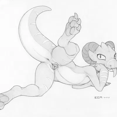 fital (abonshell) created by ecmajor