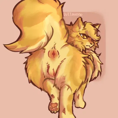 goldenflower (warriors) (warriors (book series)) created by gullswoop