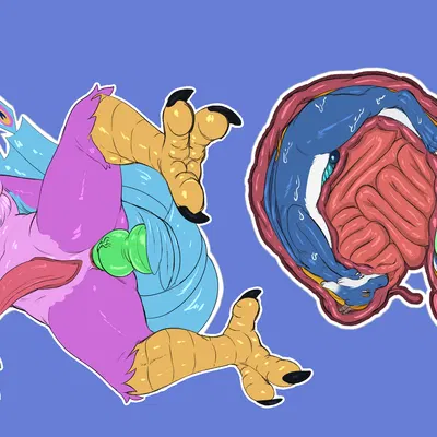 gyro feather, nyama created by spamjamz