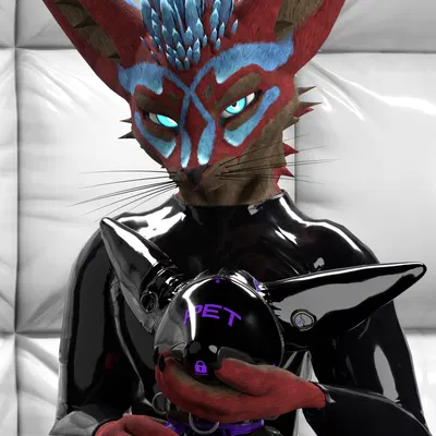 isaacjexo, niko (bounddev) created by bounddev