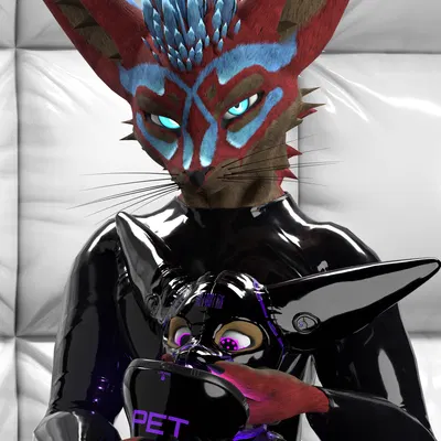 isaacjexo, niko (bounddev) created by bounddev