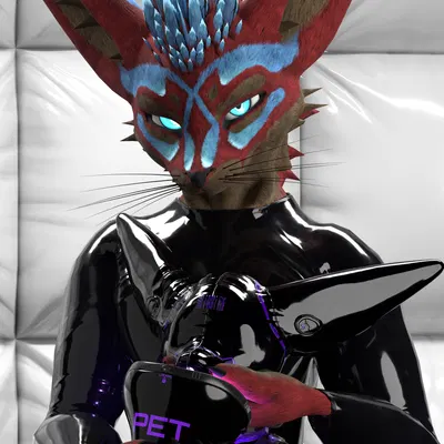 isaacjexo, niko (bounddev) created by bounddev