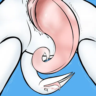 japhet (off) (european mythology, greek mythology) created by birdism