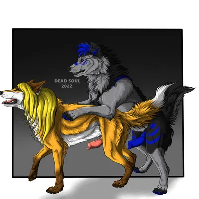 jcfox created by msdeadsoul