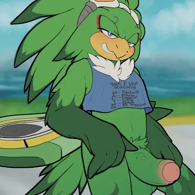 jet the hawk (sega, sonic riders) created by hotcocopon