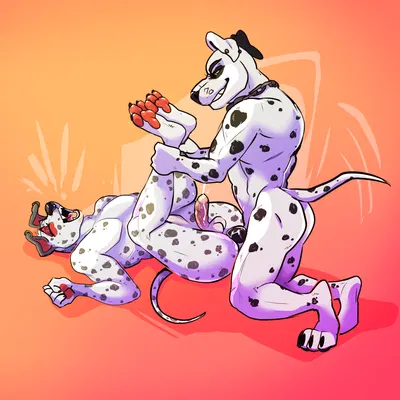 jj (zarif) created by allorexx