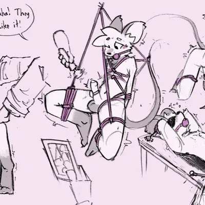 joules navier created by shellsist