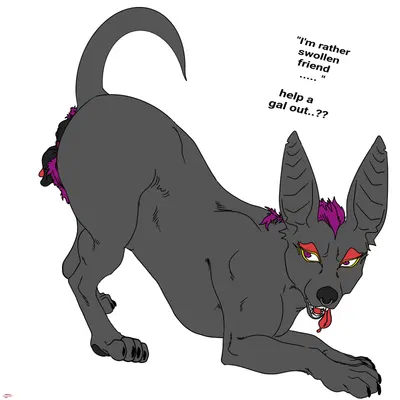 kascada (sealofharps) created by harpseal