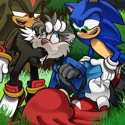 knuckles the echidna, shadow the hedgehog, sonic the hedgehog (sega, sonic the hedgehog (series)) created by hairlessboyblunder