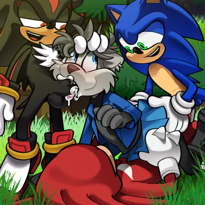 knuckles the echidna, shadow the hedgehog, sonic the hedgehog (sega, sonic the hedgehog (series)) created by hairlessboyblunder