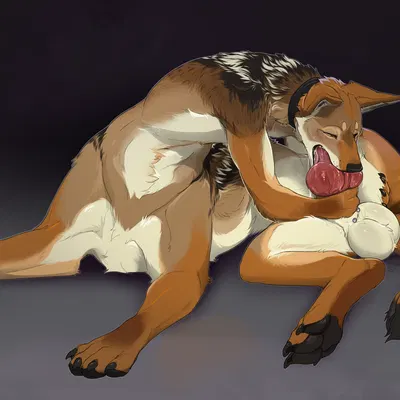 kojote created by sepiaflux