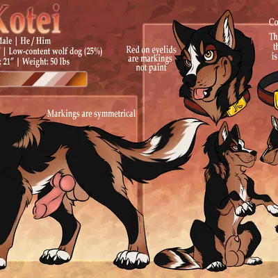 kotei created by killthe demon