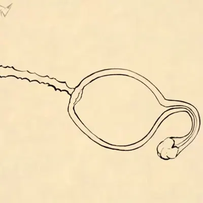 landon (fellowwolf) (mythology) created by fellowwolf