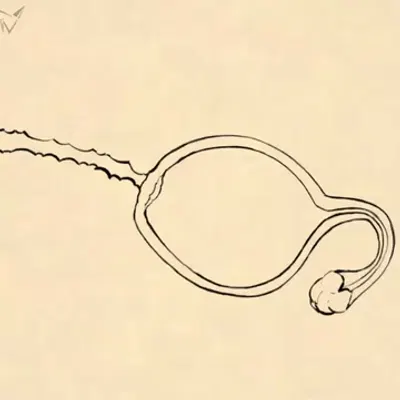 landon (fellowwolf) (mythology) created by fellowwolf