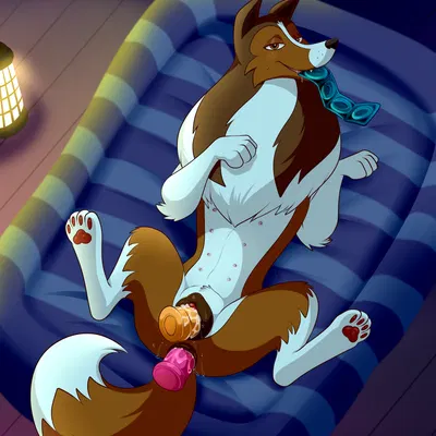 lassie (the new adventures of lassie) created by lonbluewolf