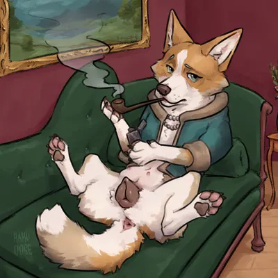 lottie (hakudoge) created by hakudoge