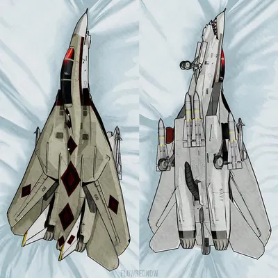 lyka (aeromorph) (f-14, f-14 tomcat) created by flowrednow, russy (artist)
