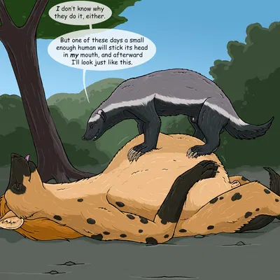 mdogo created by strega